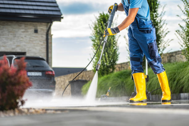 Best Roof Cleaning and Mildew Removal in Nd Lake, WI